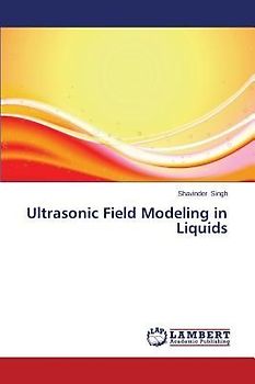 Ultrasonic Field Modeling in Liquids