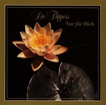 die Flippers - Nur für Dich