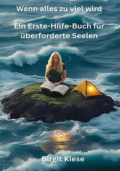 Wenn alles zu viel wird - Ein Erste-Hilfe-Buch für überforderte Seelen