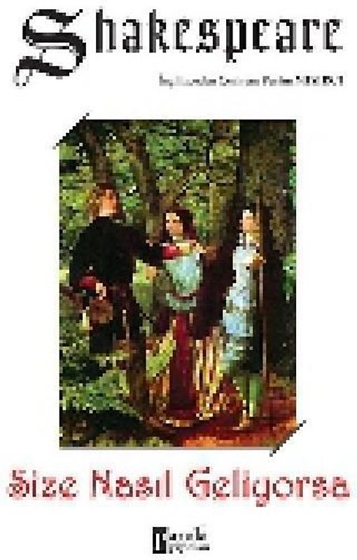 Size Nasil Geliyorsa