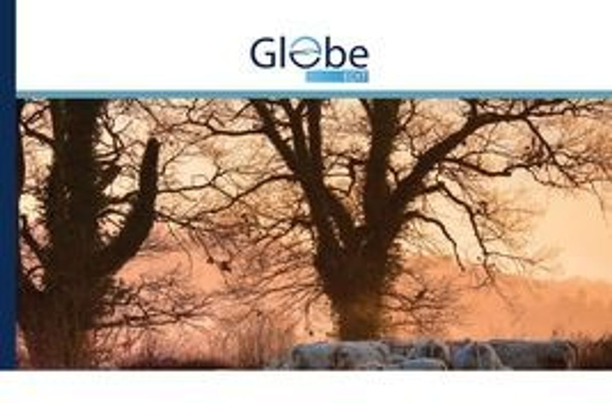 Inzichten tijdens de meditatie en de realiteit