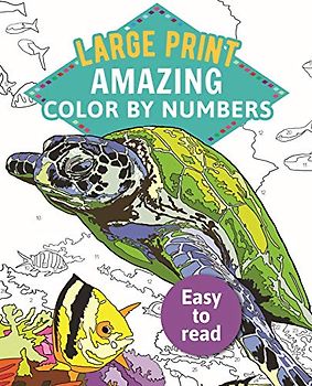 Amazing Color-By-Numbers Large Print: Large Print (Sirius Large Print Color by Numbers Collection)
