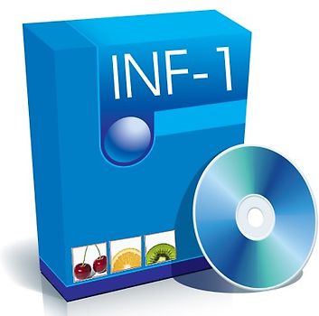 go te.comp - Wirtschaftsinformatik 1 (inkl. Trainingssoftware) - alter Lehrplan