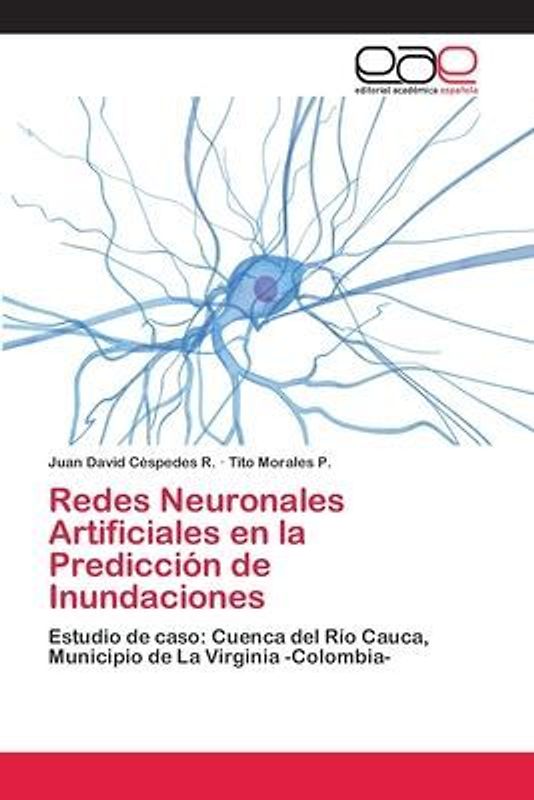 Redes Neuronales Artificiales en la Predicción de Inundaciones