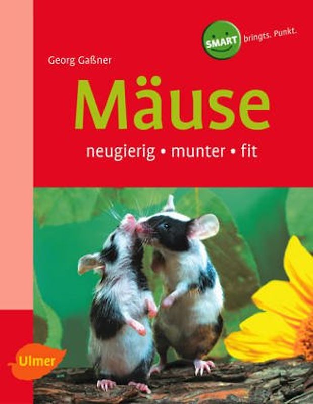 Mäuse. Ratten und Rennmäuse