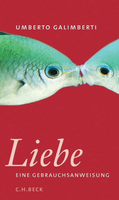 Liebe. Eine Gebrauchsanweisung