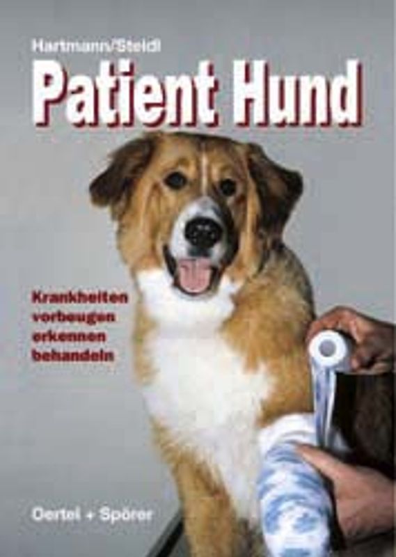 Patient Hund