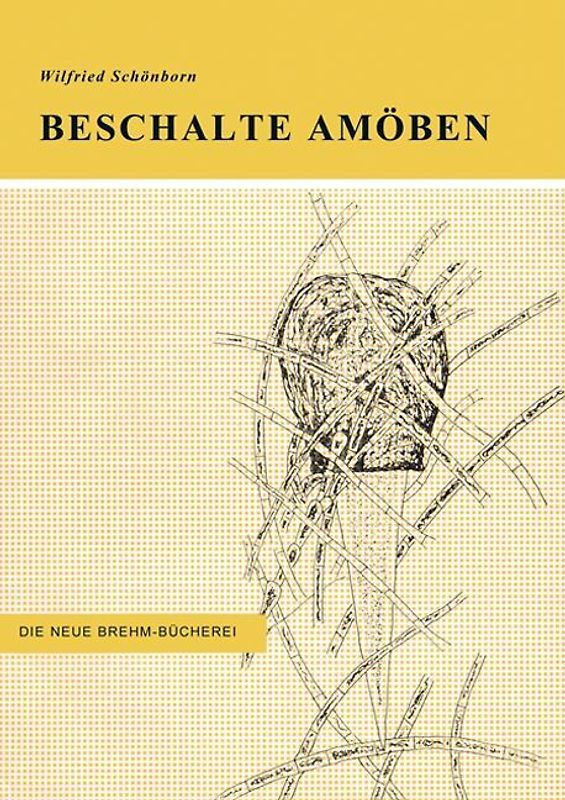 Beschalte Amöben