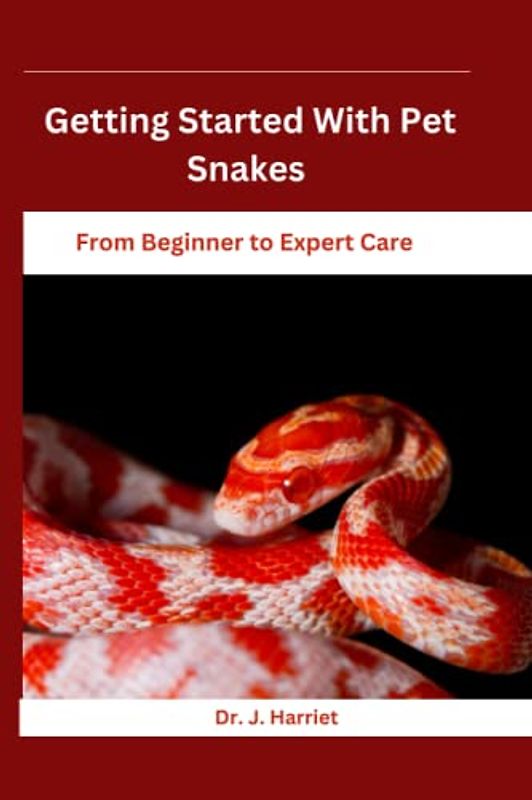 Getting Started With Pet Snakes: From Beginner to Expert Care