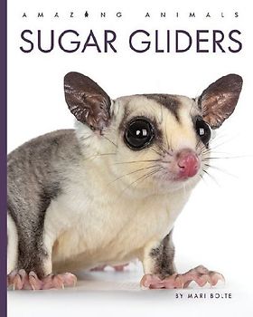 Sugar Gliders