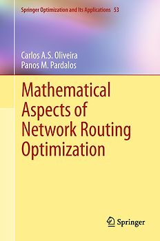 Mathematical Aspects of Network Routing Optimization