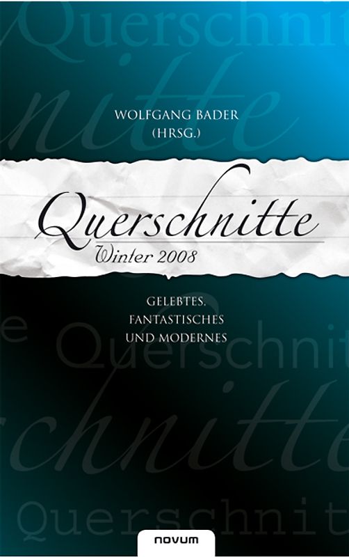 Querschnitte Winter 2008