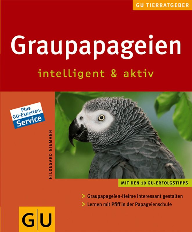 Graupapageien intelligent und aktiv