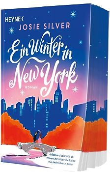 Ein Winter in New York