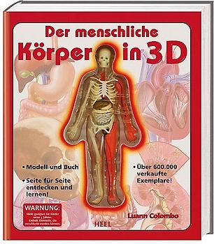 Der menschliche Körper in 3D