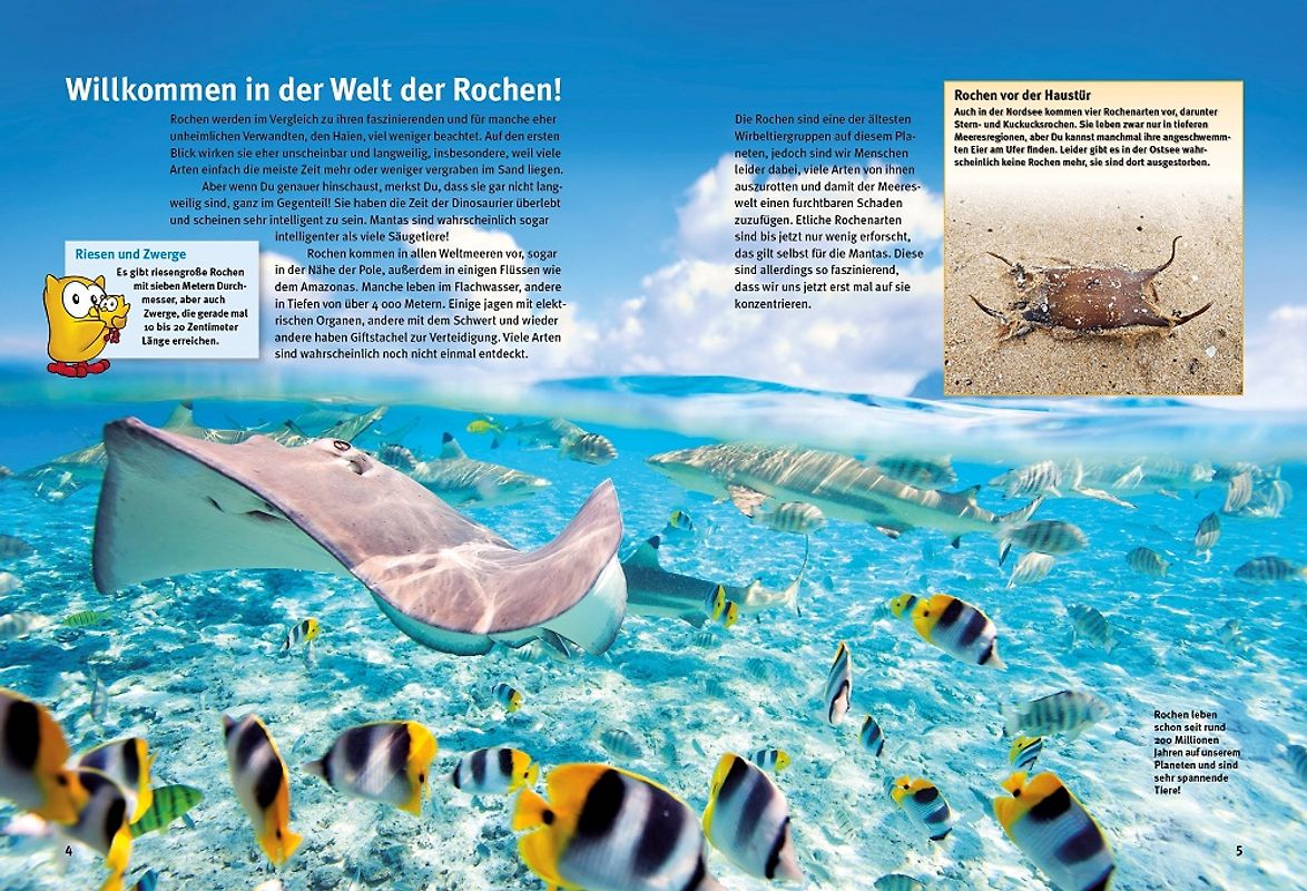 Gesammelte Briefe 1907-1913