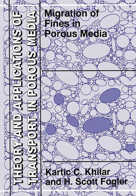 Migrations of Fines in Porous Media