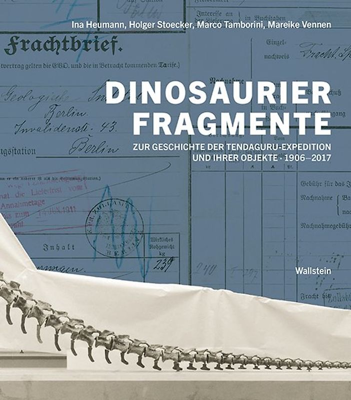 Dinosaurierfragmente