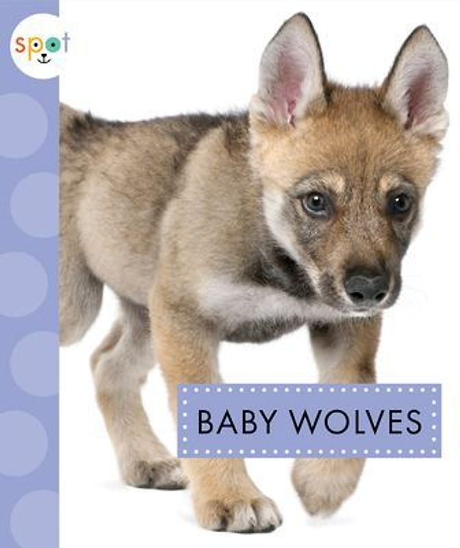 Baby Wolves