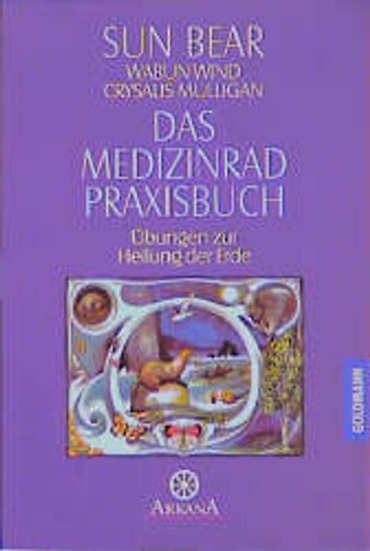 Das Medizinrad-Praxisbuch