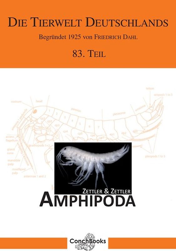 Marine and freshwater Amphipoda from the Baltic Sea and adjacent territories