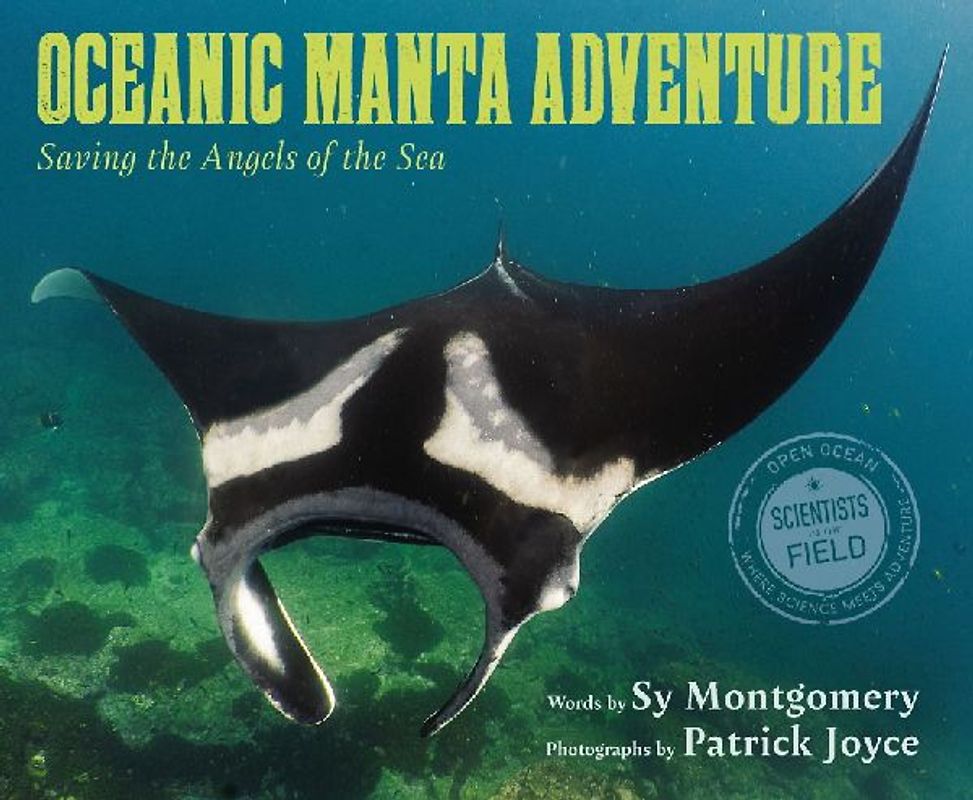Oceanic Manta Adventure