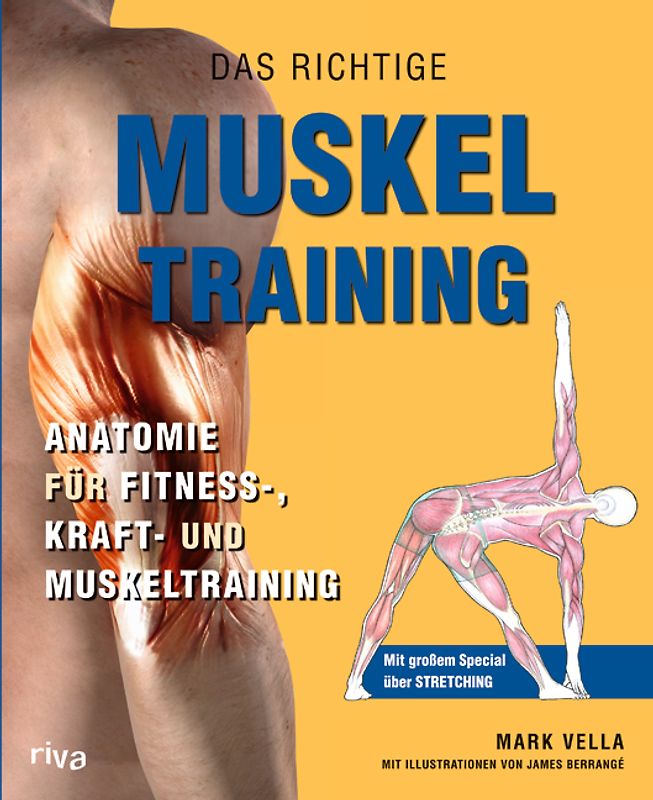 Das richtige Muskel Training