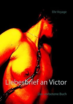 Liebesbrief an Victor. Das verbotene Buch