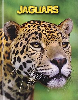 Jaguars (Living in the Wild: Big Cats)