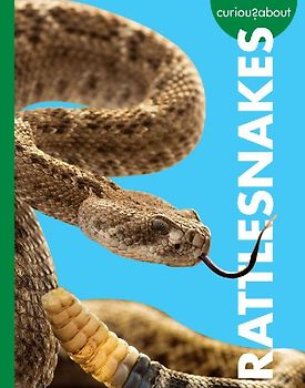 Curious about Rattlesnakes
