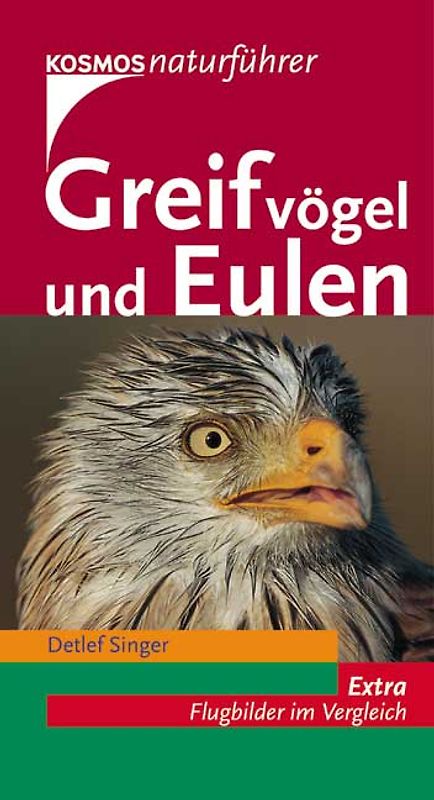 Greifvögel und Eulen