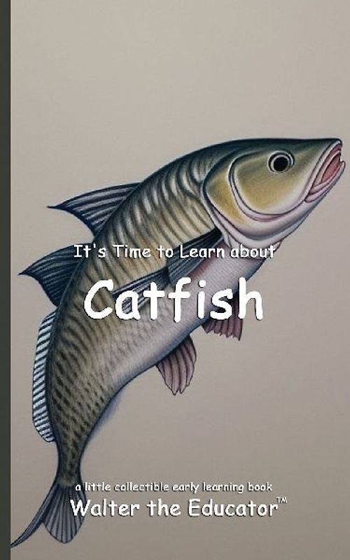 It's Time to Learn about Catfish