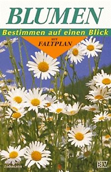 Blumen