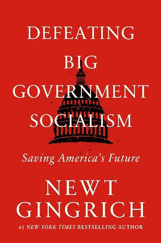 Defeating Big Government Socialism