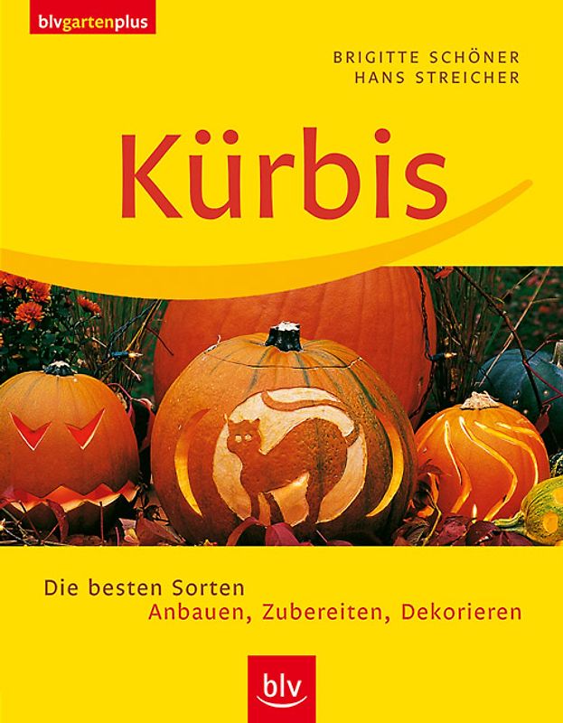 Kürbis