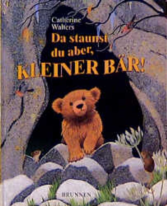 Da staunst du aber, kleiner Bär!