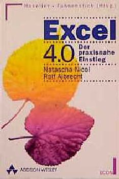 Excel 4.0. Der praxisnahe Einstieg