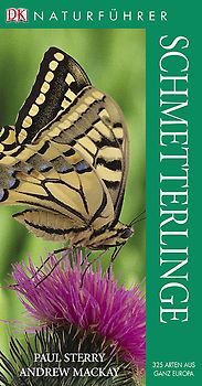 Schmetterlinge