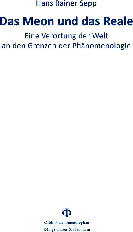 Das Meon und das Reale