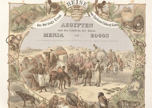 Werkausgabe - Liebhaberausgabe ungekürzte Ausgabe letzter Hand / Reise des Herzogs Ernst von Sachsen-Coburg-Gotha nach Ägypten