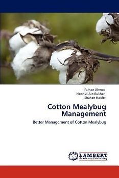 Cotton Mealybug Management
