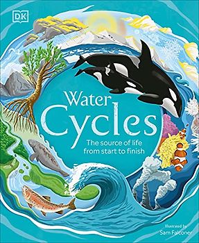 Water Cycles: The source of life from start to finish (DK Life Cycles)
