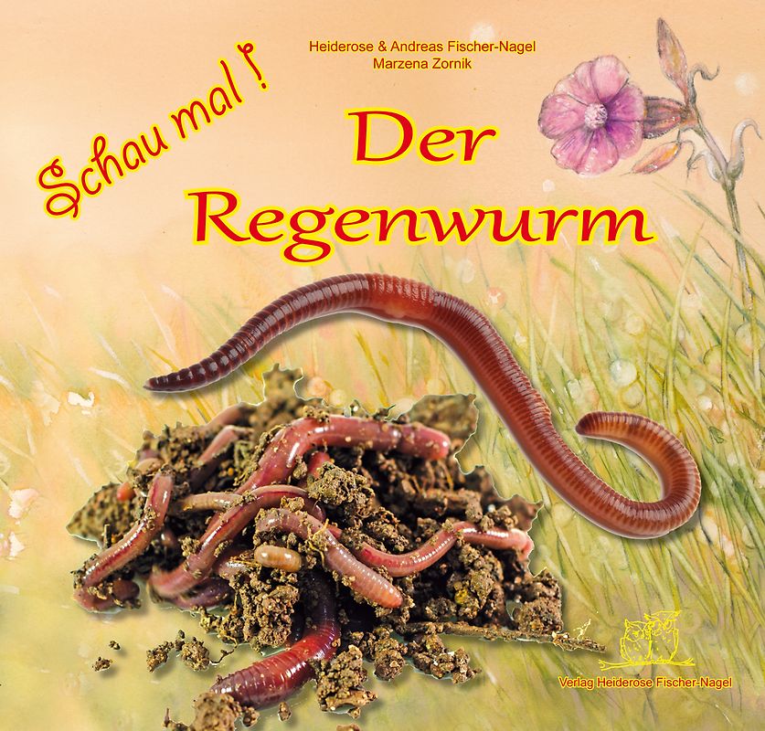 Schau mal ! / Schau mal! Der Regenwurm