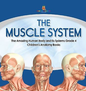 The Muscle System | The Amazing Human Body and Its Systems Grade 4 | Children's Anatomy Books