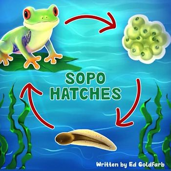 Sopo Hatches