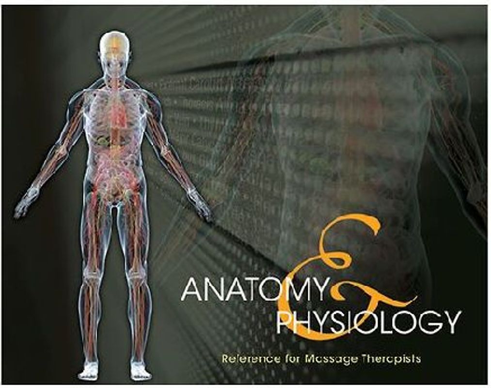 Anatomy & Physiology Reference for Massage Therapists, Spiral Bound Version