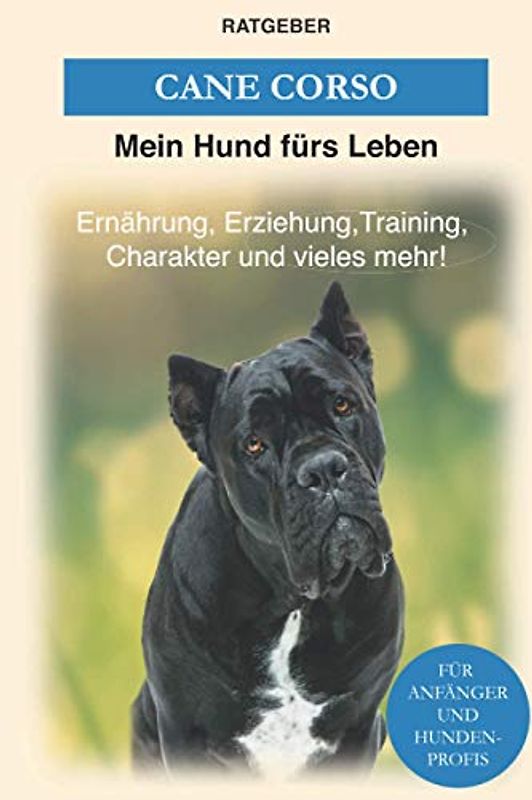 Cane Corso: Erziehung, Training, Charakter von Cane Corso - Der Cane Corso Ratgeber (Hunderassen)