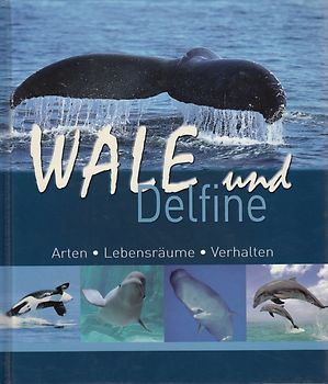 Wale und Delfine: Arten, Lebensräume, Verhalten - Rüdiger Wandrey [Gebundene Ausgabe]