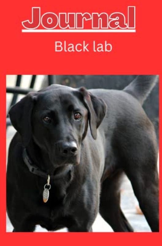 Black lab dog Journal series 3 with a bright red background: null