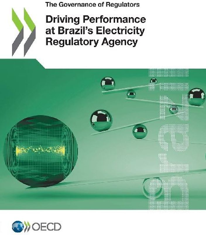 Driving Performance at Brazil's Electricity Regulatory Agency